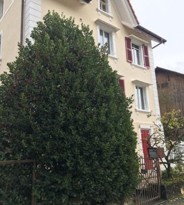 Le Houx