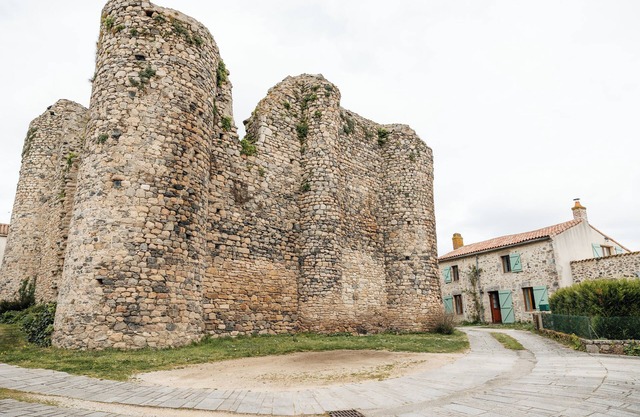 Le logis du vieux Donjon, 10 min from Puy du Fou