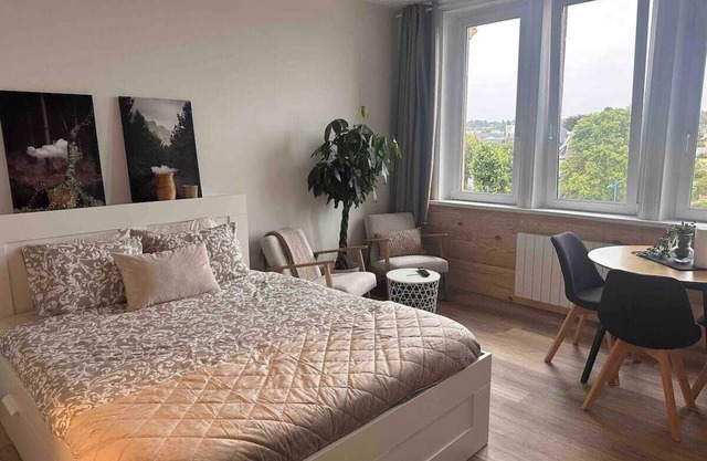 Le Petit Port, quiet apartment 5 minutes from the town center. Pets welcome!