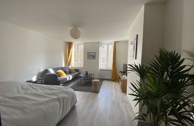 LE POINCARE APARTMENT 1min from the train station