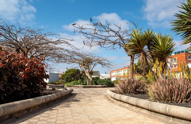 Le Poulpe bleu Fuerteventura chic & relax