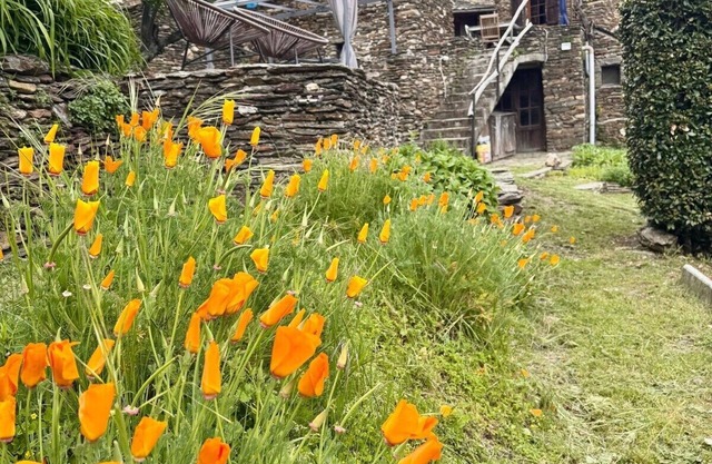 Les Hôtes du Châtaignier