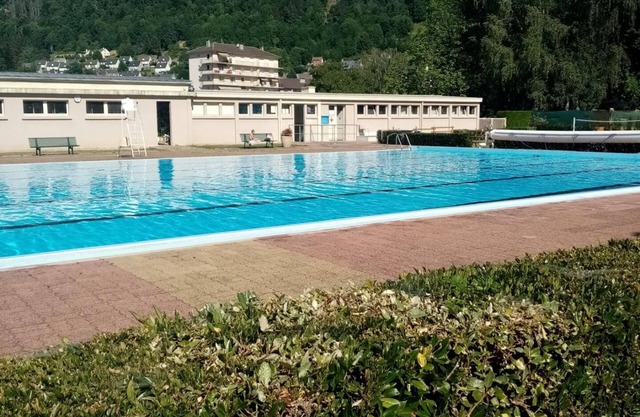 les Pétunias