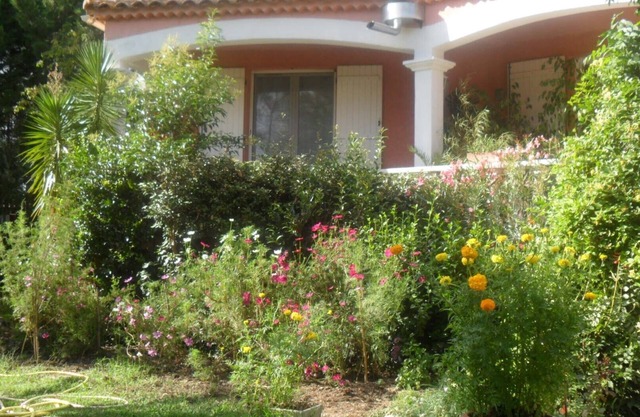 LES PALMIERS: Beautiful, peaceful setting in a Camargue hamlet