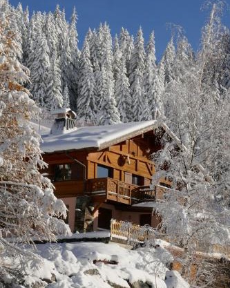 Les Saisies côté Bisanne appartement dans chalet LE Népal