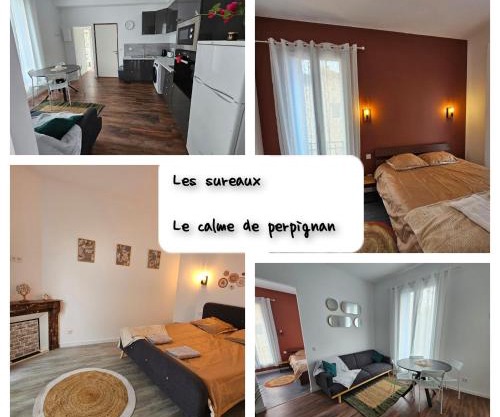 Les sureaux, le charme du centre de perpignan
