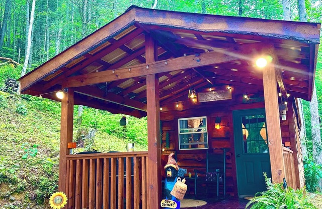 Little Bear Tiny Cabin in The Forest