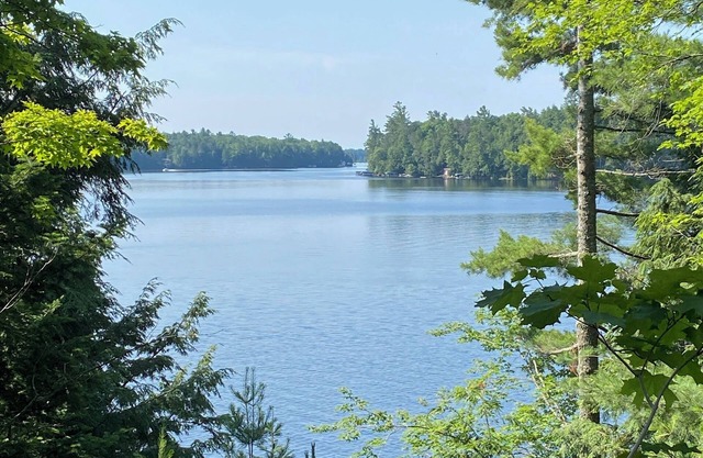 Little Fork Landing-Cozy, Clean Lakefront Retreat on Three Lakes Chain of Lakes