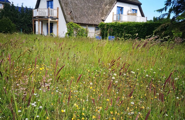 Living under "thatch" Family-friendly, dogs allowed, garden+large open space