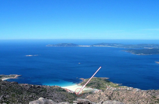 Lobeira do Mar