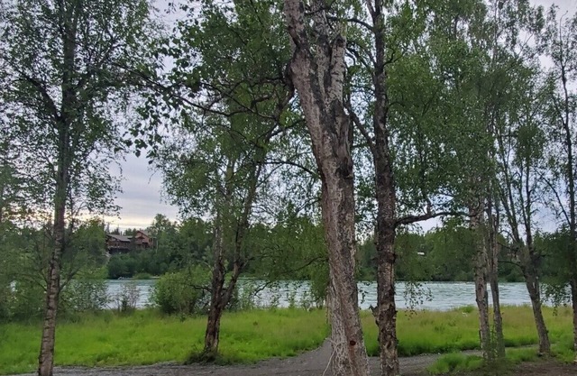 LOCATED ON THE KENAI RIVER! Kenai River Haven Unit #2.