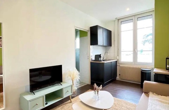 London, Charming apartment in the heart of Reims, 45 minutes from Paris