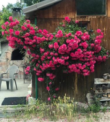LOVE ROOM Chalet des ALPES