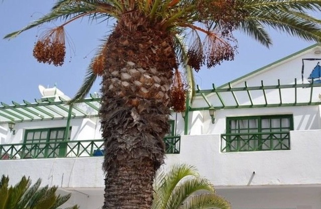 Lovely 1 bedroom apartment in Puerto del carmen/matogorda with beautiful pool