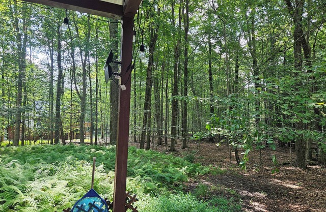 Lovely 4-bedroom house hot tub,fire place,fire pit for a relaxing getaway
