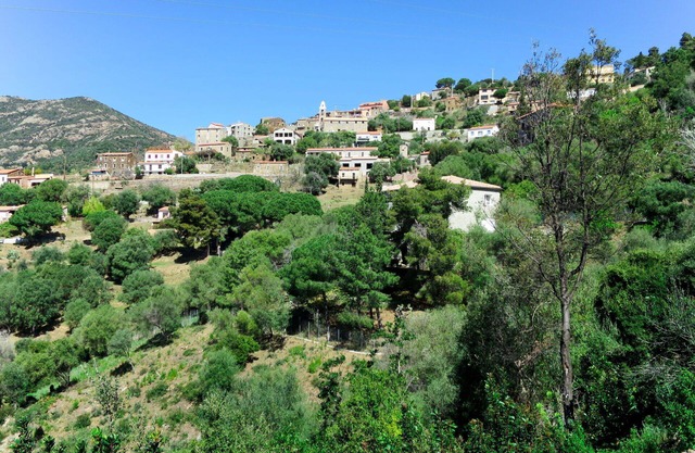 Lovely apartment for 4 people with A/C, WIFI, TV, patio, pets allowed, panoramic view and parking