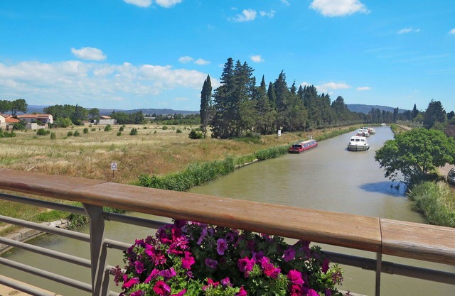 Lovely apartment for 5 people with WIFI, pool, TV, terrace and pets allowed