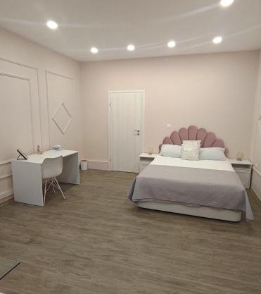 Lovely apartment in the heart of the city