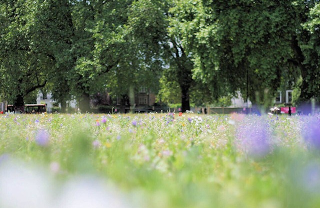 Lovely London Fields 3 bed Home With Garden