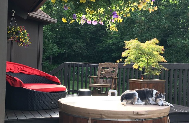 Lovely woodland home, outdoor cedar hot tub, close to wineries, hiking, & lakes