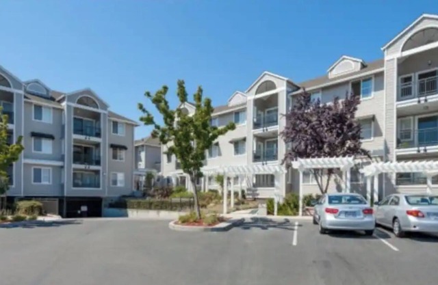 Luxurious Apt 10 mins - Stanford Uni/PA downtown
