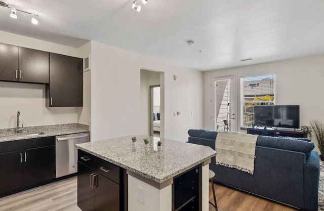 Luxury 1BR Near UCHealth