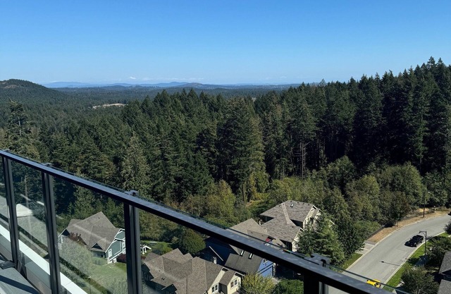 Luxury Bear Mountain Condo