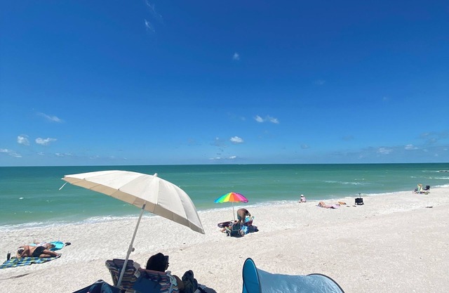 Luxury, cozy, and Charming studio with WiFi and AC in brilliant Tampa