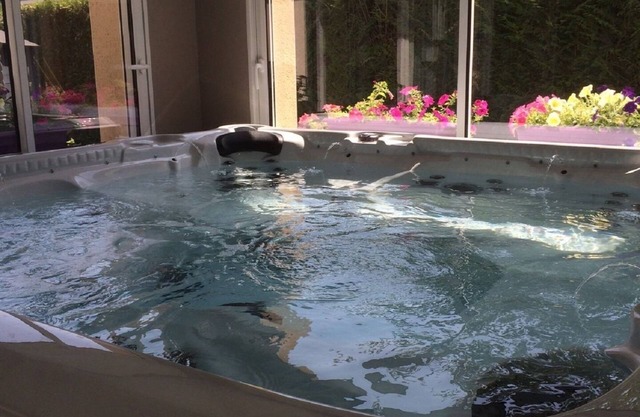 luxury gite 3 * 12 people jacuzzi, spa Châteaux of the Loire Touraine