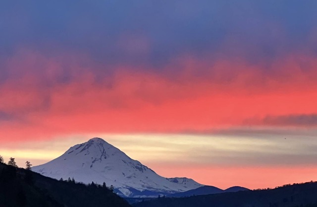 Luxury idyllic guesthouse w/Mt Hood views, patio w/gas fire-pit, and gardens!