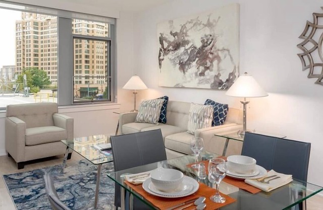 Luxury One Bedroom Apartment