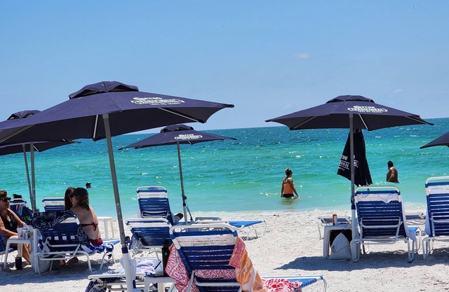 Luxury St Pete apt close to Central, Downtown and the Beach.