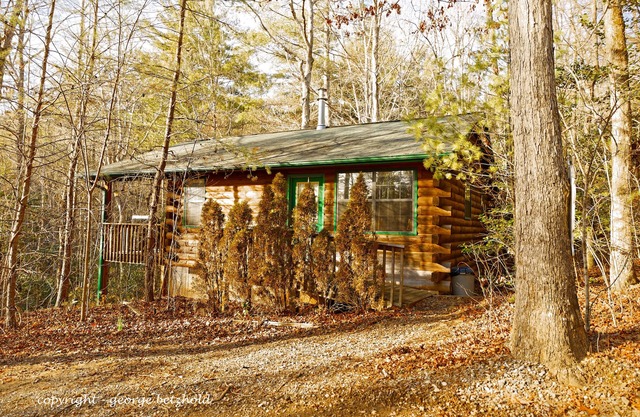MacDonald Cabin in Scottish Woods