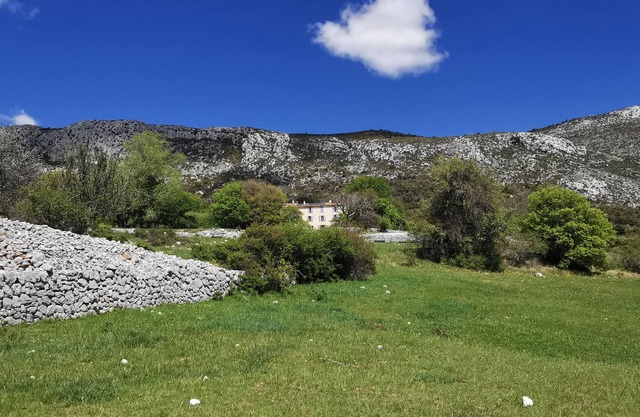 MAGNIFICENT "BASTIDE" GITE ON ORGANIC FARM/DONKEY HANDLING IN LE VERDON