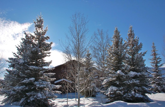 Magnificent Canyon View Home, Pet Friendly, Huge Deck with Hot Tub