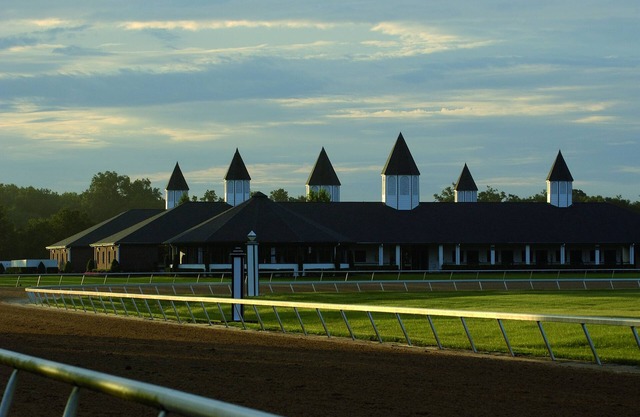 Magnificent Thoroughbred Farm in the heart of Florida Horse Country. Stalls too!