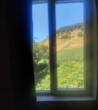 Maia's Guesthouse