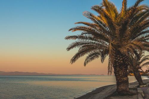 MainAvenue Palm Seaside