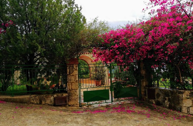 * MAISON DE SOLEI *
