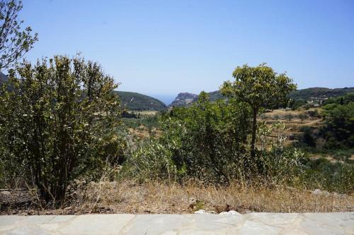 Manitohori in the Trees