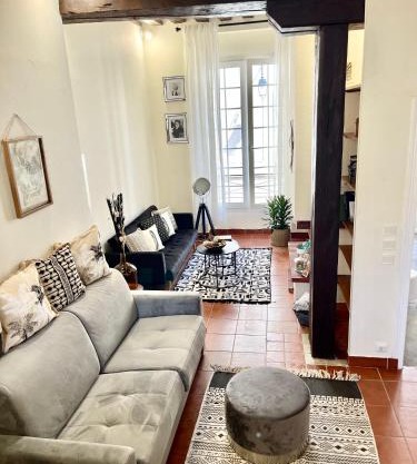 MARAIS BRAQUE APPARTEMENT