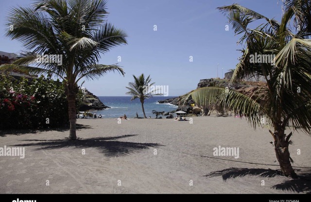 Marina Palace Apartment