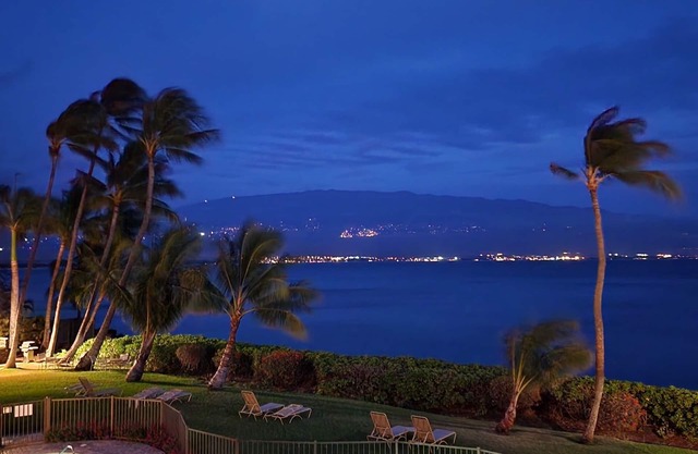Maui's Best OCEANFRONT Condo! See whales, turtles & sunrises from our lanai!