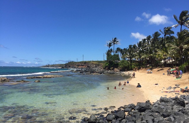Maui's best Surf, wdsurf, snorkeling by secluded beach+ AC
