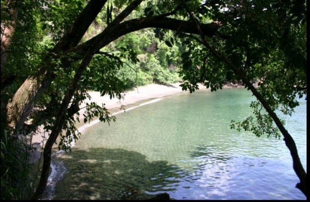 Megan's Bay Cottages-Main House (Secluded beach)