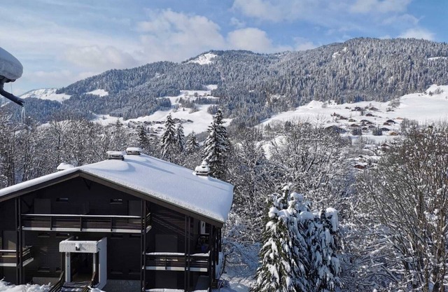 Megeve. Very nice little studio in residence ideal for winter and summer.