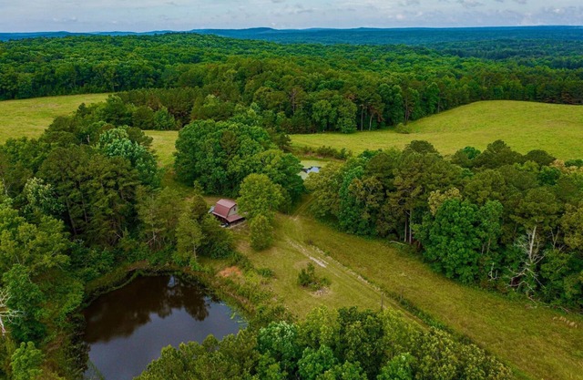 Mennonite Built Cabin on 81 acres surrounded by 30,000 acres of state park