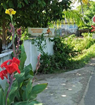 Midigama Villa Resort