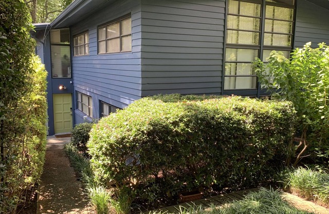 Midtown Atomic Ranch Garden Level