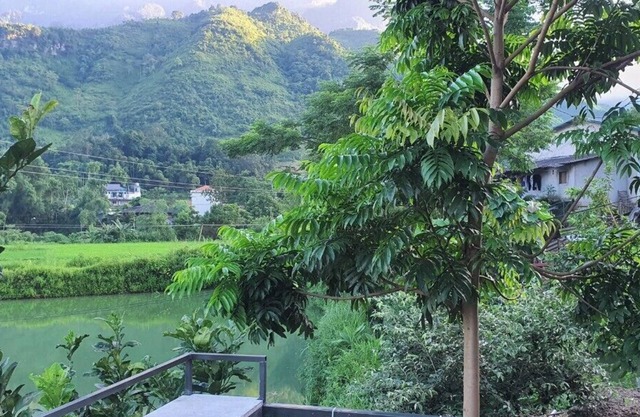 Milk Homestay